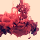 Illustration for article titled This Beautiful Red Plume Is Your Next Desktop Background. But What Is It?